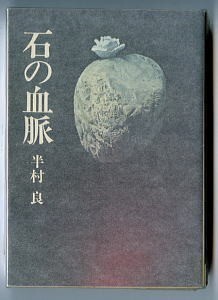 SFj/「石の血脈」　初版　半村良　野田弘志/カバー画　早川書房・ハヤカワ文庫JA・JA23　伝奇ロマン　全528頁