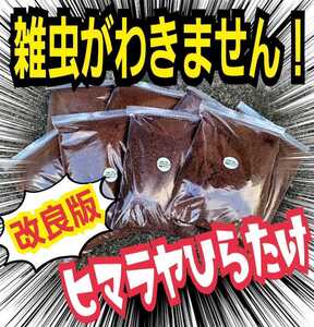 雑虫、コバエがわきません！　改良版　発酵カブトムシマット【３袋】幼虫の餌・産卵に抜群　栄養添加剤入り　ギネスサイズ羽化実積多数あり