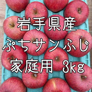 岩手県産　りんご　ぷちサンふじ　家庭用　約３キロ　14玉