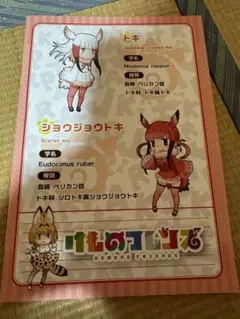 けものフレンズ　ノート