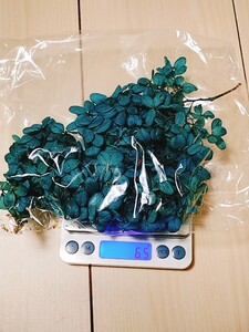 紫陽花　　花材