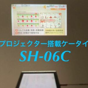 【美品】docomo PRO series SH-06C FOMA プロジェクター搭載 タッチパネル Bluetooth ワンセグ ガラケー 