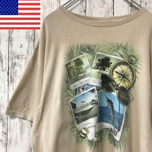 アメリカ古着 ビッグプリント Tシャツ メンズ　XL 南国