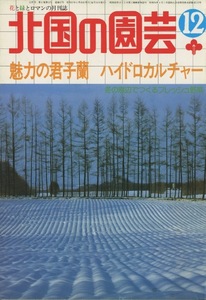 ■北国の園芸　1982.12月号　［特集：魅力の君子蘭／ハイドロカルチャー］検：セントポーリア