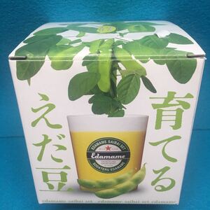 育てる枝豆　えだ豆栽培キット　オリジナル美濃焼陶製ポット　未使用新品