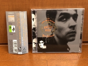 美盤 ジョン・スペンサー Jon Spencer Blues Explosion 1996年 CD Now I Got Worry 国内盤 帯付 ステッカー付