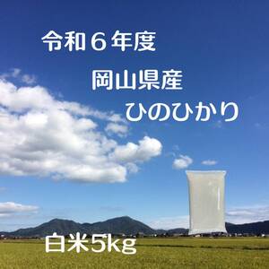 【精米仕立て・生産者直送】令和6年　岡山県産　ひのひかり　白米　5㎏.