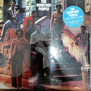 THE EVERYDAY PEOPLE／I LIKE WHAT I LIKE アナログ盤LPレコード 