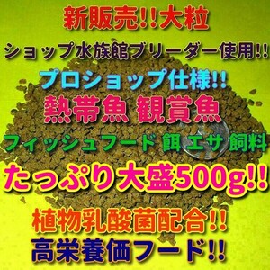 新販売!! 大粒 熱帯魚 エサ フィッシュフード たっぷり大盛500g!! プロ仕様 食い付き抜群 ブリーダー推奨 シクリッド エンゼル プレコ 飼料