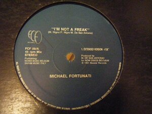 ▲12インチ MICHAEL FORTUNATI / I