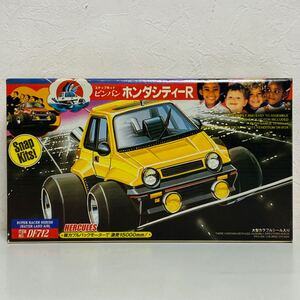 【未組立品】サニー スナップキット ビンバン ホンダシティーR DF712