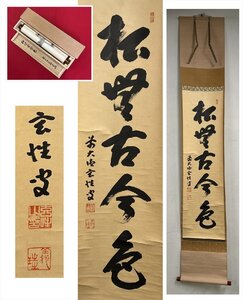 【千寿】大徳寺派 黄梅院 宮西玄性 松無古今色 一行書 紙本 d885◆箱/茶道具/古美術/時代品/掛軸/100027820