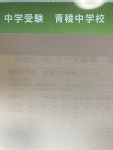 ＜PDF送信＞中学受験　青稜中学校　2025年合格への算数と分析理科プリント