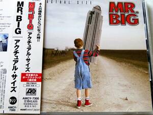 MR.BIG　アクチュアル・サイズ