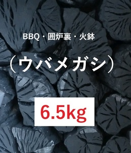 《送込》(炭244)【ウバメカシ】カシ炭「6.5kg」火持ち抜群　BBQ　燃料　囲炉裏　火鉢　バーベキュー　割欠け大小不揃い　姥女樫 かし 黒炭