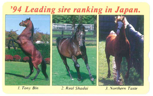 94 Leading sire ranking in Japanテレカ　トニービン　リアルシャダイ　ノーザンテイスト　未使用品