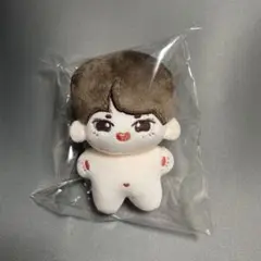 enhpyen ソヌ　ぬいぐるみ　10cm 新品　マスター　nct