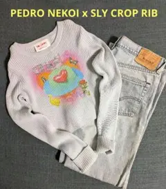 PEDRO NEKOI x SLY CROP RIB ニット スライ コラボ