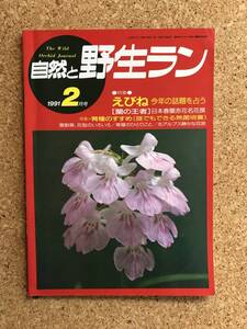 自然と野生ラン 1991年2月号　エビネ ウチョウラン 春蘭 雪割草 ※ 園芸JAPAN