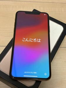 Apple iPhone 11 Pro Max 256GB ゴールド 美品 レンズ染みあり SIMフリー 最大容量100％