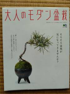 大人のモダン盆栽　枻出版社　エイムック　BONSAI