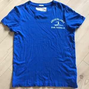 ダメージ加工 ロゴTシャツ　アバクロンビー＆フィッチ S サイズ　青