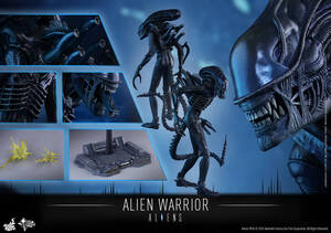 未使用品 1/6 HOTTOYS ホットトイズ エイリアン ２ 【 エイリアン・ウォーリアー バトルダメージ 版 】 Aliens Alien Warrior 限定 300体