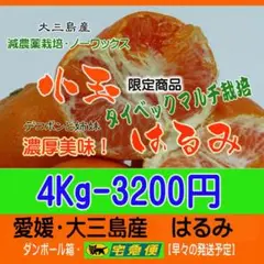 最終！タイベック栽培！小玉はるみ4Kg　パンチの効いた味で濃厚美味