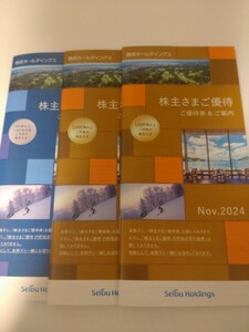 西武ホールディングス 株主優待 株主ご優待券冊子　