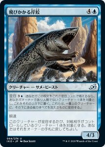 MTG マジック：ザ・ギャザリング 飛びかかる岸鮫 アンコモン イコリア：巨獣の棲処 IKO-064 日本語版 クリーチャー 青