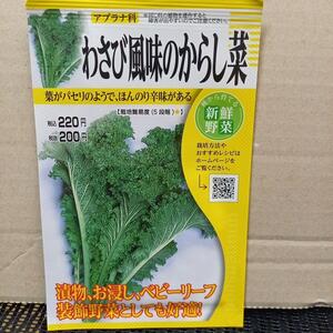 未開封＜野菜の種＞約800粒　わさび風味のからし菜　5ｍｌ　わさび菜