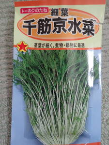 50円：千筋京水菜（細葉） タネ・トウホクの種　正規品