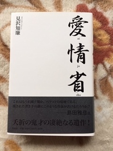 【一読のみ】見沢知廉【愛情省】作品社・初版・帯付き★表題作他「ニッポン」「天皇ごっこ」◆送料１８５円