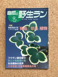 自然と野生ラン 2008年9月号　※ フウラン 雪割草 春蘭 ※ 園芸JAPAN