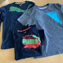 プーマ　PUMA Tシャツ３枚セット