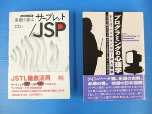 【お買得】★プログラミング関連本2冊セット★①J2EE 1.4対応 実例で学ぶサーブレット/JPS　②プログラミングの心理学