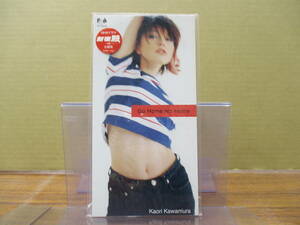 S-1147【8cmシングルCD】美盤 / 川村かおり Go Home No Home / Bye Bye Summer / FHDF-1551