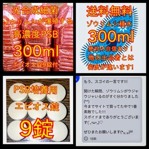 送料無料★ネコポス発送★絶対の自信あり★簡単培養ゾウリムシ300ml＋PSB300ml★