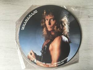 WHITESNAKE INTERVIEW DISC UK盤　LIMITED EDITION