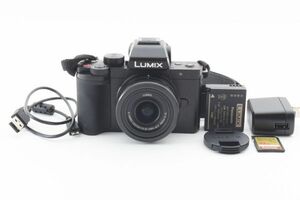 #m170★極上美品★ Panasonic パナソニック LUMIX DC-G100 標準ズームレンズキット 12-32mm