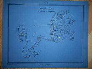 アンティーク、天文、天体、星座早見盤、星図1860年『ブラウン星座カード8　しし座』Star map, Planisphere, Celestial atlas
