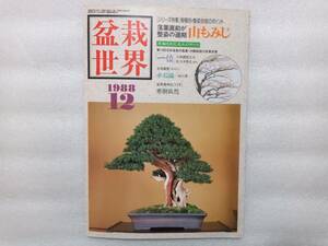 盆栽世界　1988　12月号　特集・落葉直前が整枝の適期　山もみじ　　年輪を刻む名木の守たち　一位　