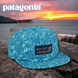 ◆PATAGONIA BOARDSHORT LABEL CAP パタゴニア　キャップ　ボタニカル