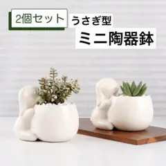 Umlaca ミニ陶器鉢 多肉植物 鉢 植木鉢 プランター 小型 底穴あり