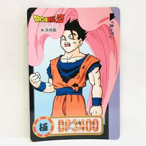 カードダス ドラゴンボールZ 魔神ブウ編 260 (906) 孫悟飯 ①