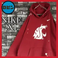 NIKE ワシントン大学 カレッジ ボロスウェット フーディー ペンキ グランジ