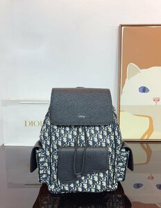 Christian Dior レディディオール リュックサック 　ビジネスバッグ　通勤　　　1000円～