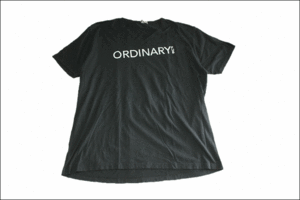 【XXL】 NEXT LEVEL Vネック Tシャツ 黒 プリント ORDINARY ビンテージ ヴィンテージ USA 古着 オールド IB1150