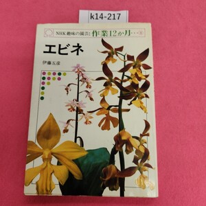 k14-217 NHK 趣味の園芸 作業12か月 8 エビネ 日本放送出版協会