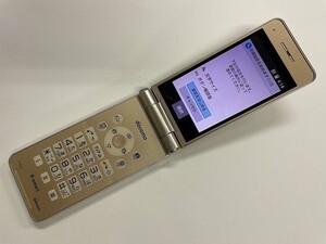 AI596 docomo P-01J